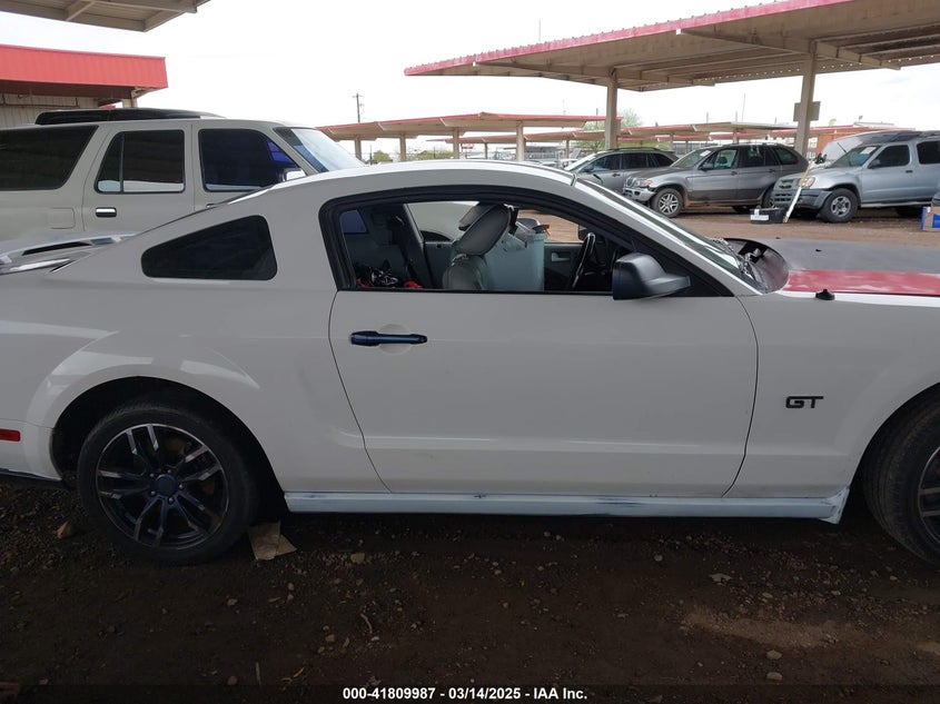 2006 FORD MUSTANG VIN: 1ZVHT82H465255268