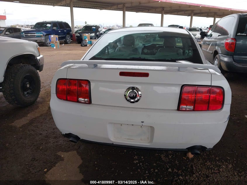 2006 FORD MUSTANG VIN: 1ZVHT82H465255268