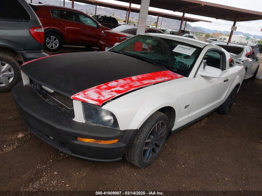 2006 FORD MUSTANG VIN: 1ZVHT82H465255268