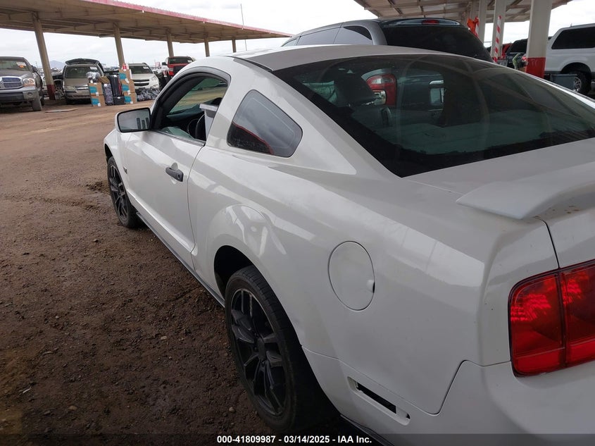 2006 FORD MUSTANG VIN: 1ZVHT82H465255268