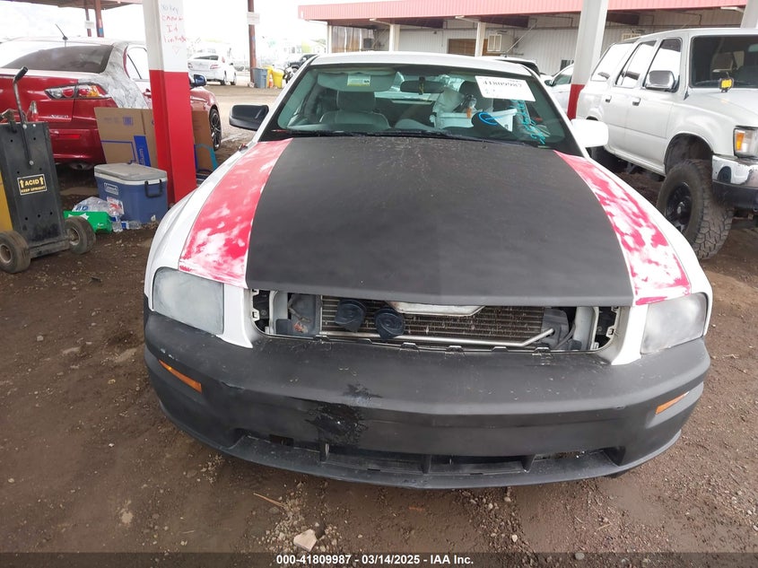 2006 FORD MUSTANG VIN: 1ZVHT82H465255268