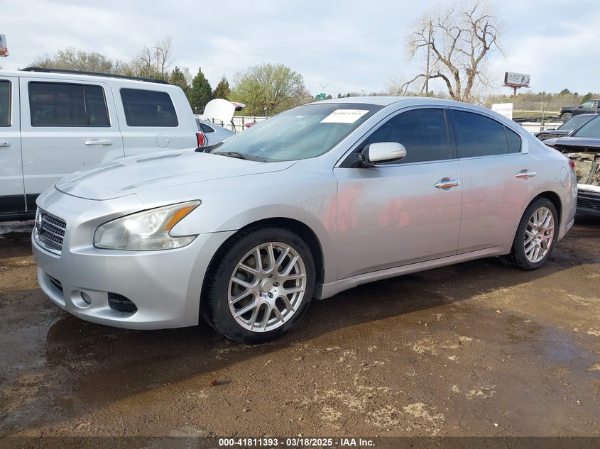 2011 NISSAN MAXIMA VIN: 1N4AA5APXBC811984