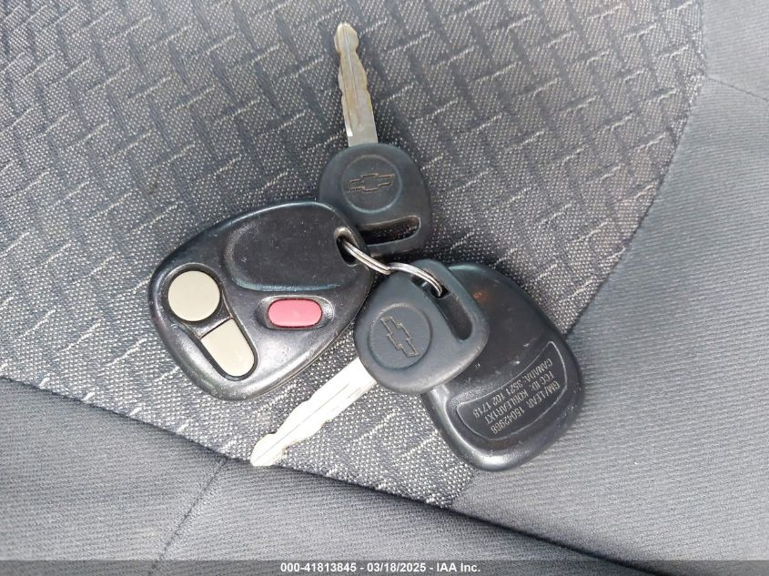 2002 Chevrolet Avalanche 1500 VIN: 3GNEC13T32G190102 Lot: 41813845