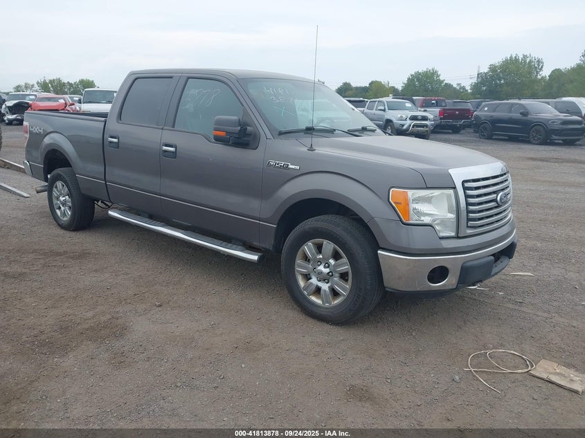 Vin: 1ftfw1ef1bkd15909, lot: 42304985, ford f-150 xlt 2011 img_1