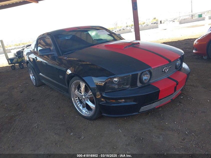 2006 FORD MUSTANG VIN: 1ZVHT82H365231110