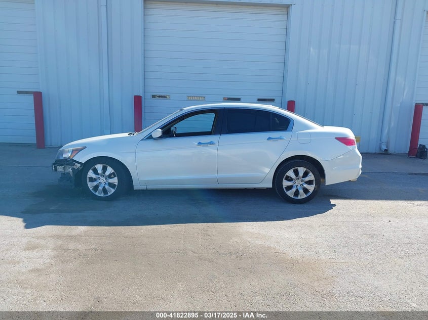 2010 HONDA ACCORD VIN: 1HGCP3F86AA021164