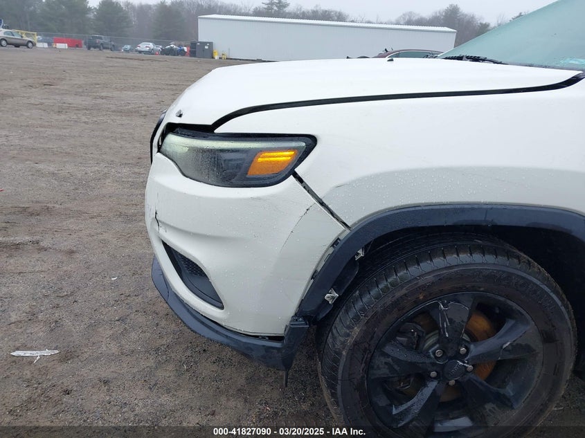 2019 JEEP CHEROKEE VIN: 1C4PJMLXXKD311619
