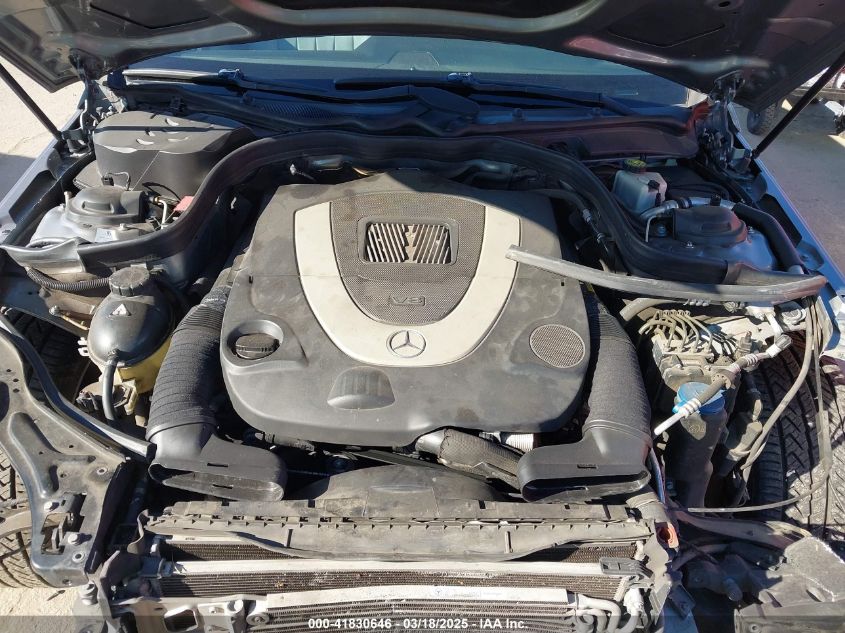 2010 Mercedes-Benz E-Class E 550 Luxury VIN: WDDHF7CB5AA191343 Lot: 41830646