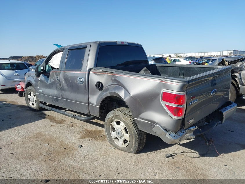 2013 FORD F150 VIN: 1FTFW1CT8DKG07309
