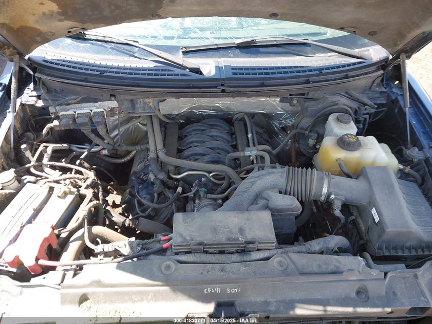 2013 FORD F-150 VIN: 1FTFX1EFXDKG21202