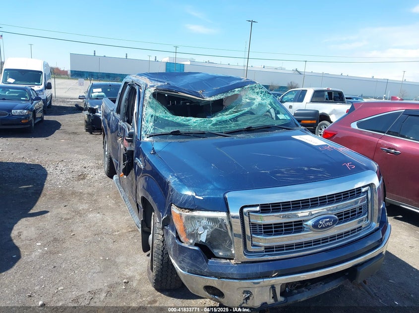 2013 FORD F-150 VIN: 1FTFX1EFXDKG21202