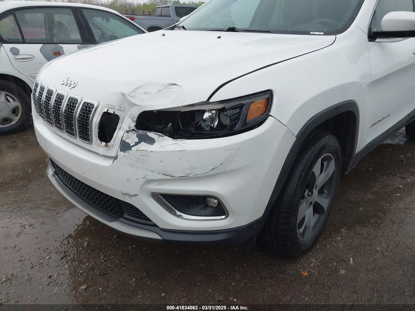 2019 JEEP CHEROKEE VIN: 1C4PJMDN9KD173231