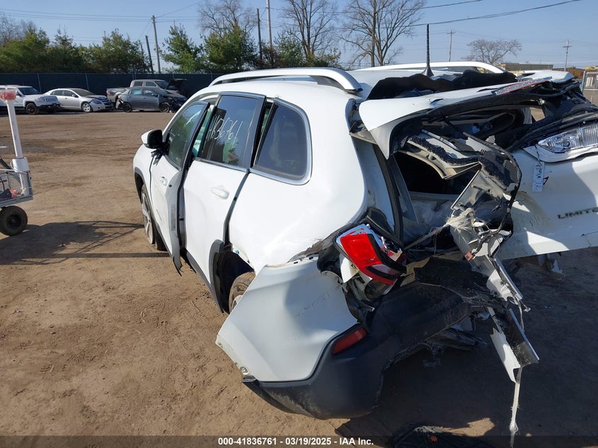 2019 JEEP CHEROKEE VIN: 1C4PJLDB4KD172228