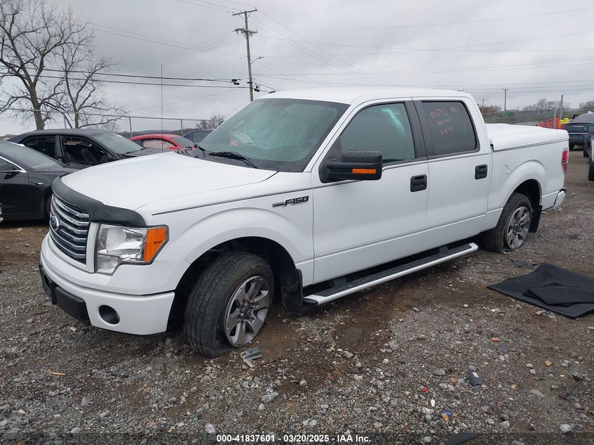 2011 FORD F-150 VIN: 1FTEW1CM6BFB81338