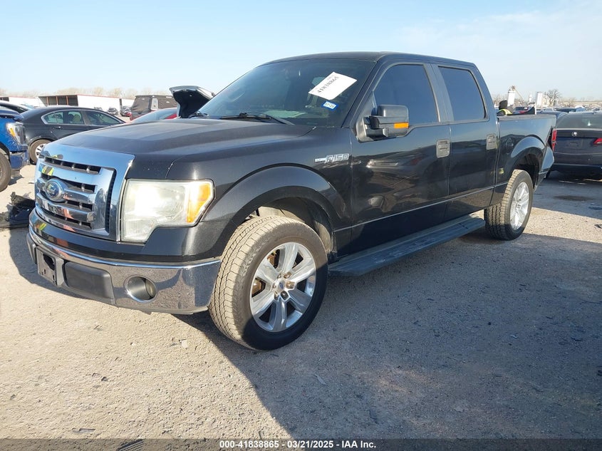 2010 FORD F-150 VIN: 1FTFW1CV5AKE19151