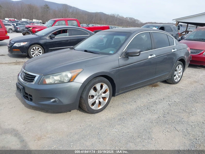 2010 HONDA ACCORD VIN: 1HGCP3F89AA012460
