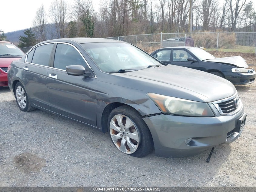 2010 HONDA ACCORD VIN: 1HGCP3F89AA012460