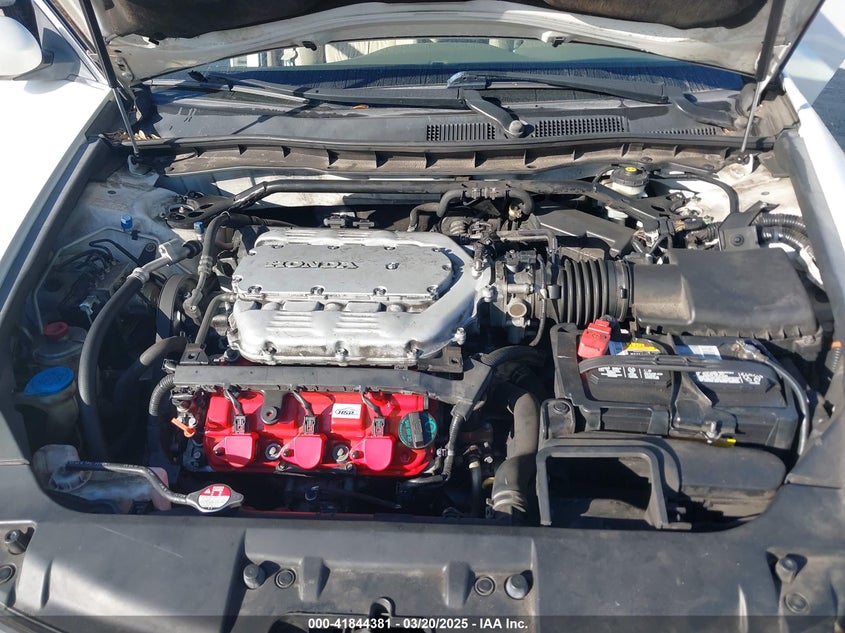 2010 HONDA ACCORD VIN: 1HGCP3F83AA030517