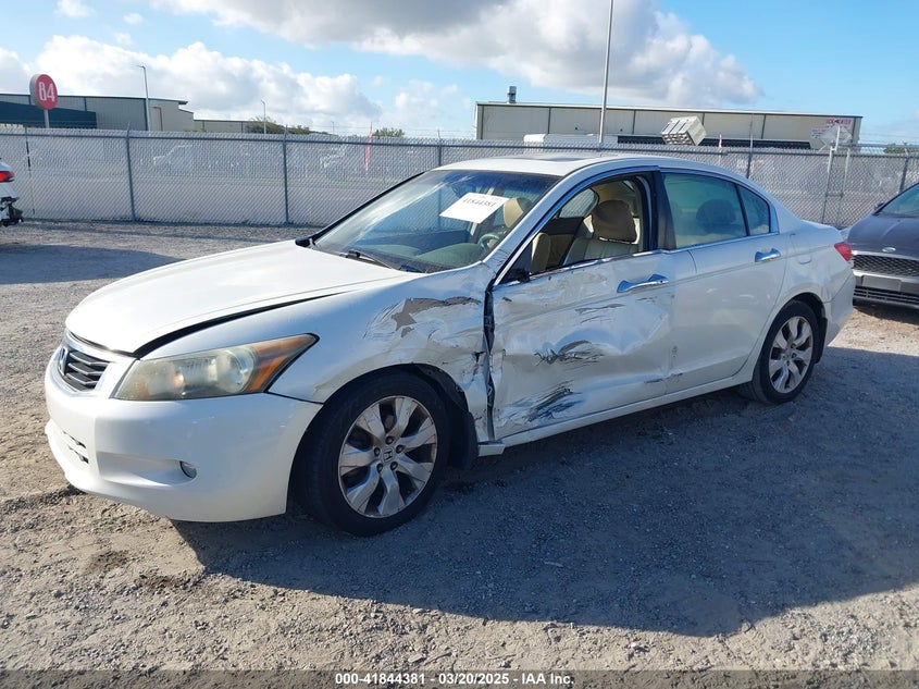 2010 HONDA ACCORD VIN: 1HGCP3F83AA030517