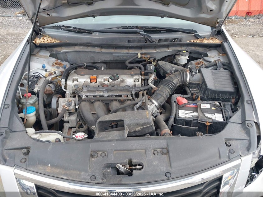 2010 HONDA ACCORD VIN: 1HGCP2F44AA003933