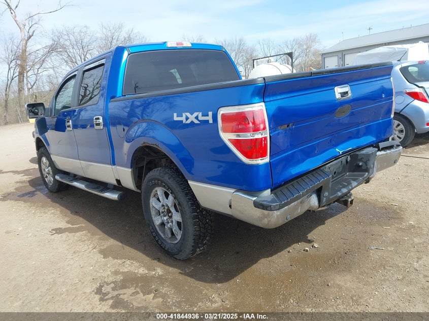 2010 FORD F-150 VIN: 1FTEW1E89AFA94922