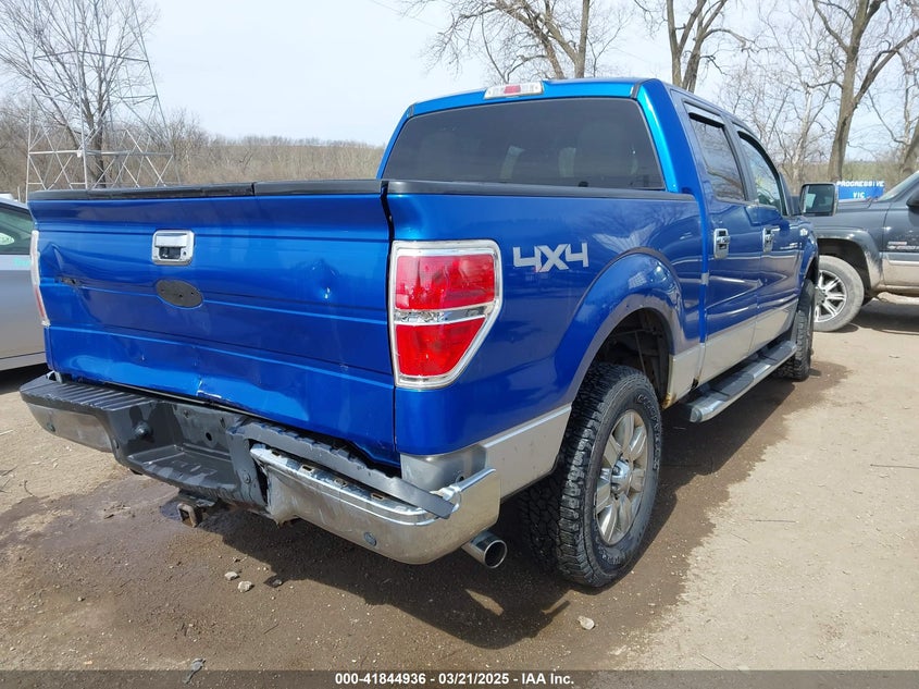 2010 FORD F-150 VIN: 1FTEW1E89AFA94922