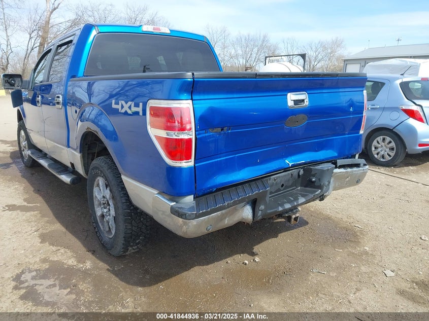 2010 FORD F-150 VIN: 1FTEW1E89AFA94922