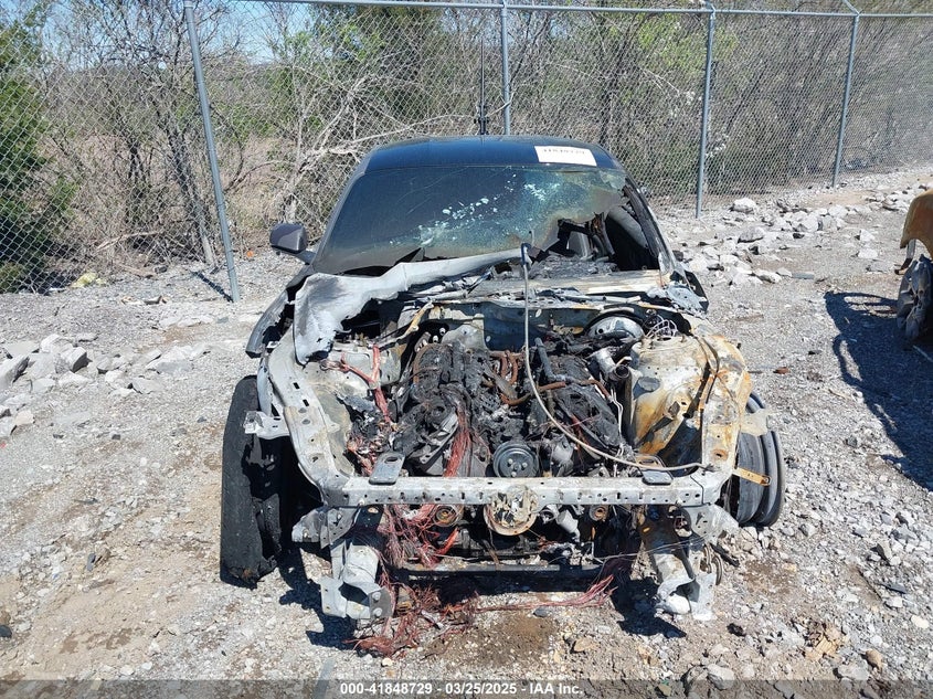 2017 FORD MUSTANG GT - 1FA6P8CF7H5230353