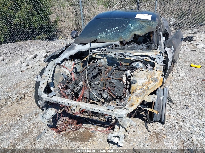 2017 FORD MUSTANG GT - 1FA6P8CF7H5230353