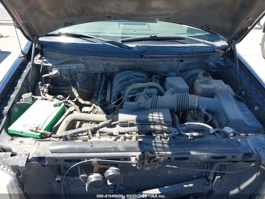 2009 FORD F-150 VIN: 1FTRX12899KB84755