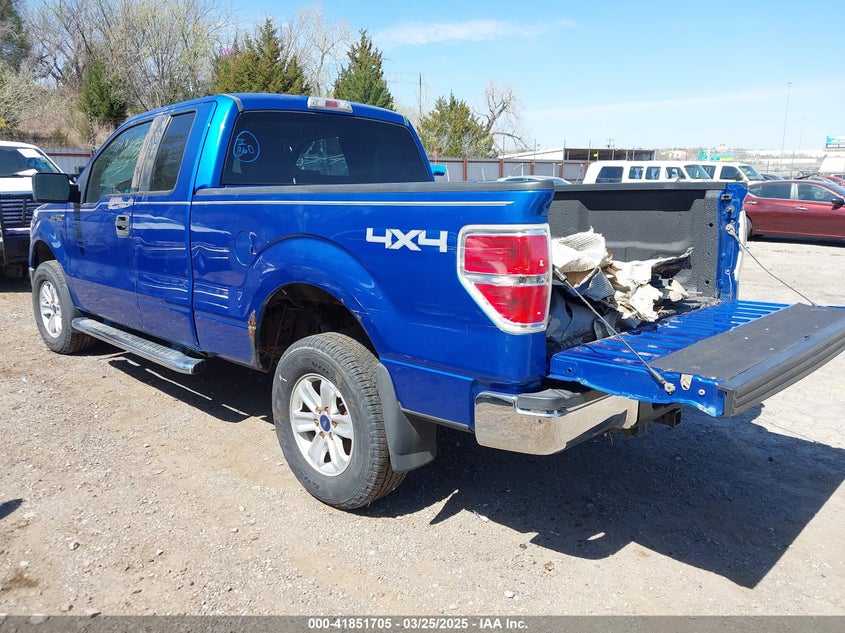 2010 FORD F-150 VIN: 1FTEX1E89AFD63806