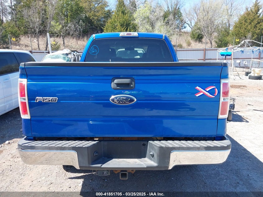 2010 FORD F-150 VIN: 1FTEX1E89AFD63806