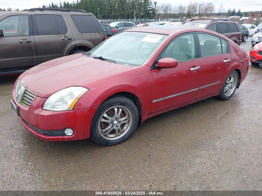 2006 NISSAN MAXIMA VIN: 1N4BA41E16C831513