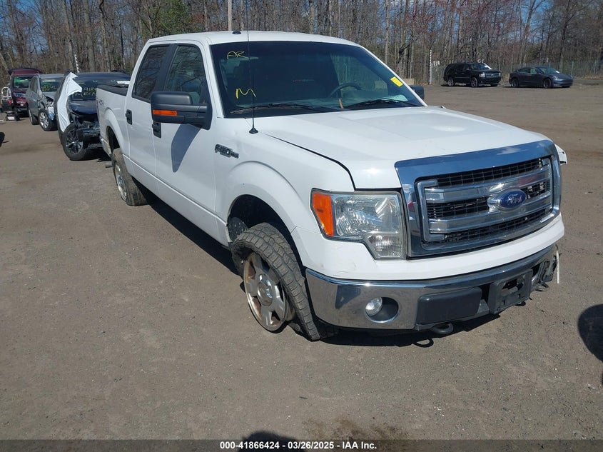 2013 FORD F-150 VIN: 1FTFW1EF4DFA11811