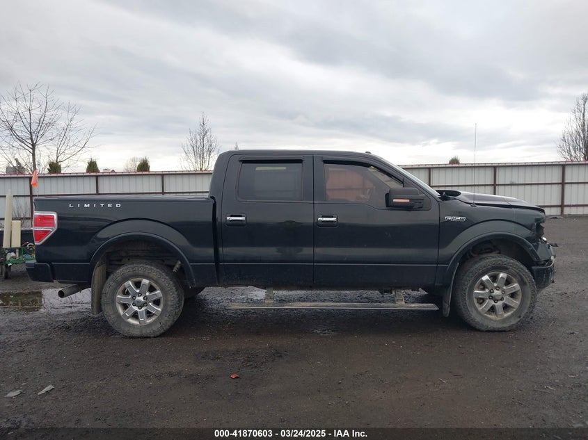 2013 FORD F150 VIN: 1FTFW1ET0DFC37348