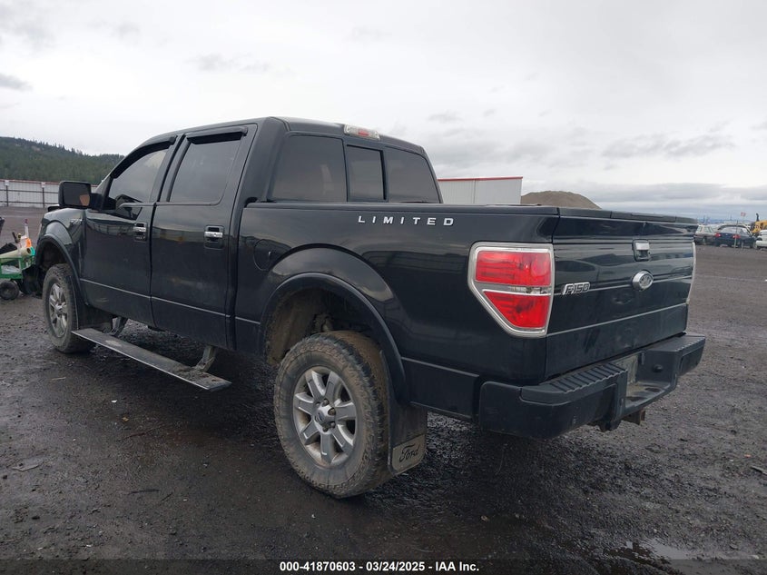 2013 FORD F150 VIN: 1FTFW1ET0DFC37348