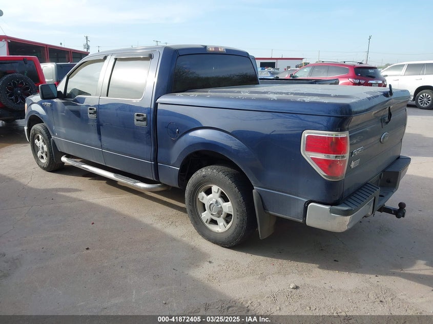 2010 FORD F-150 VIN: 1FTEW1C80AFA68518