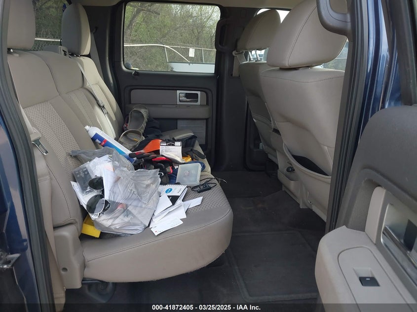 2010 FORD F-150 VIN: 1FTEW1C80AFA68518