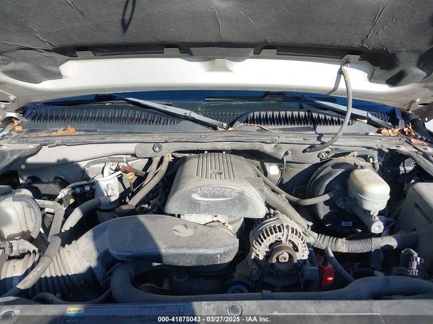 2006 CHEVROLET SILVERADO 1500 VIN: 3GCEK14VX6G180393