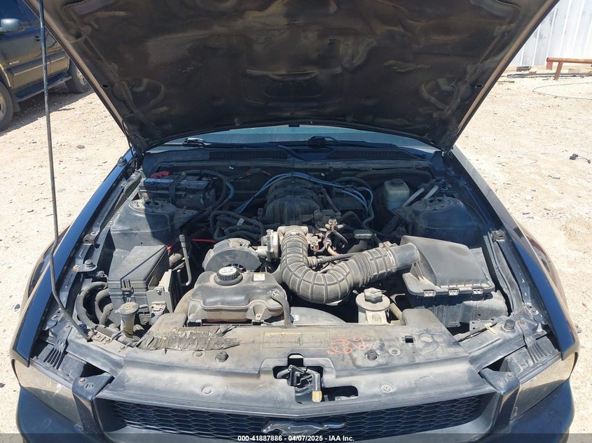 2005 Ford Mustang V6 Deluxe/V6 Premium VIN: 1ZVFT80NX55187265 Lot: 41887886