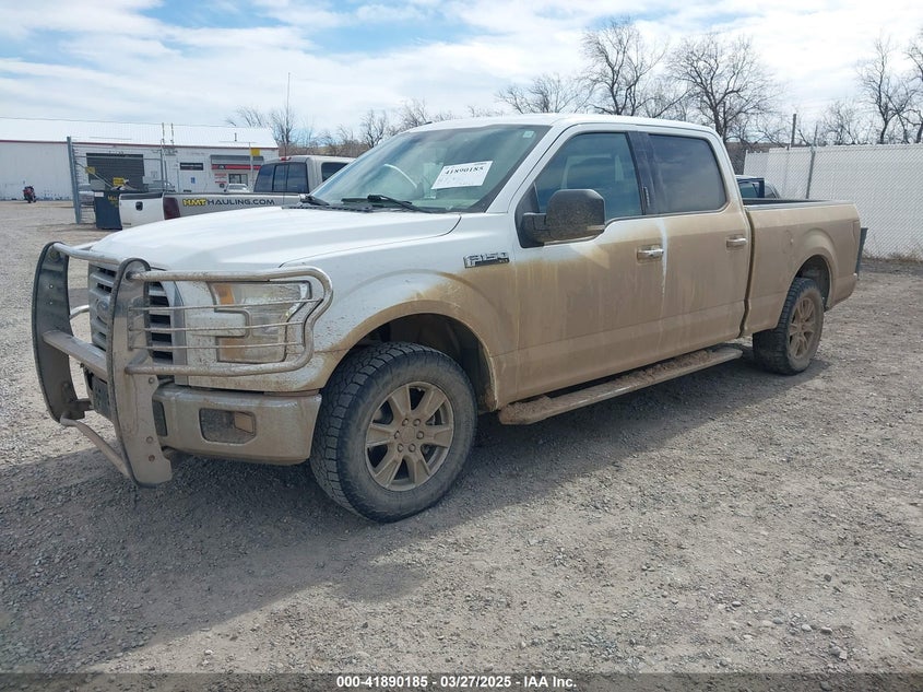 2015 FORD F-150 VIN: 1FTFW1EF3FFB70225