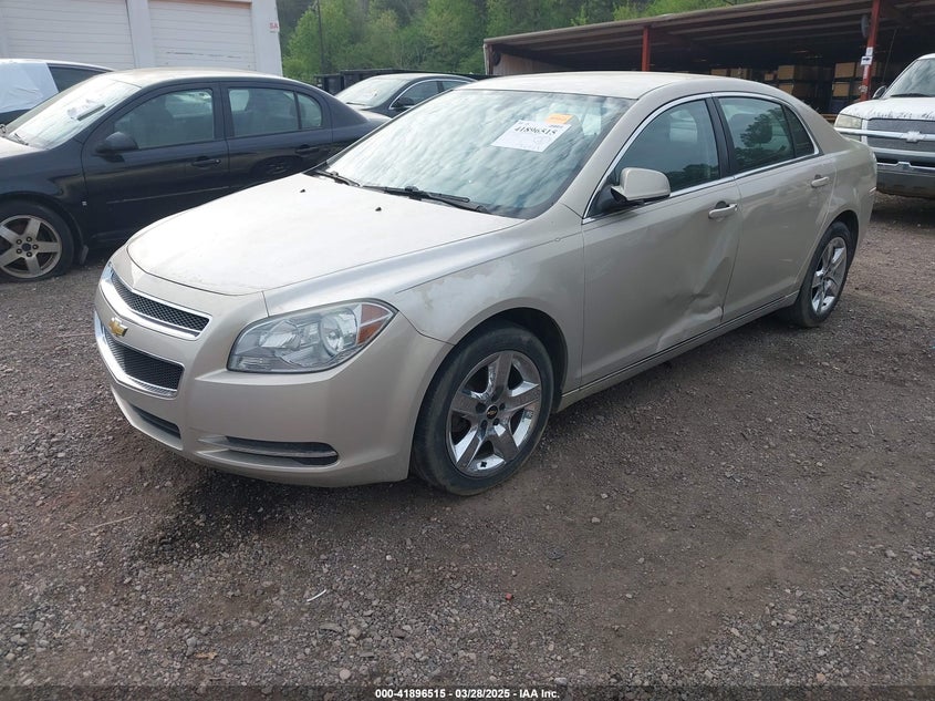 2010 CHEVROLET MALIBU VIN: 1G1ZC5E00AF300844