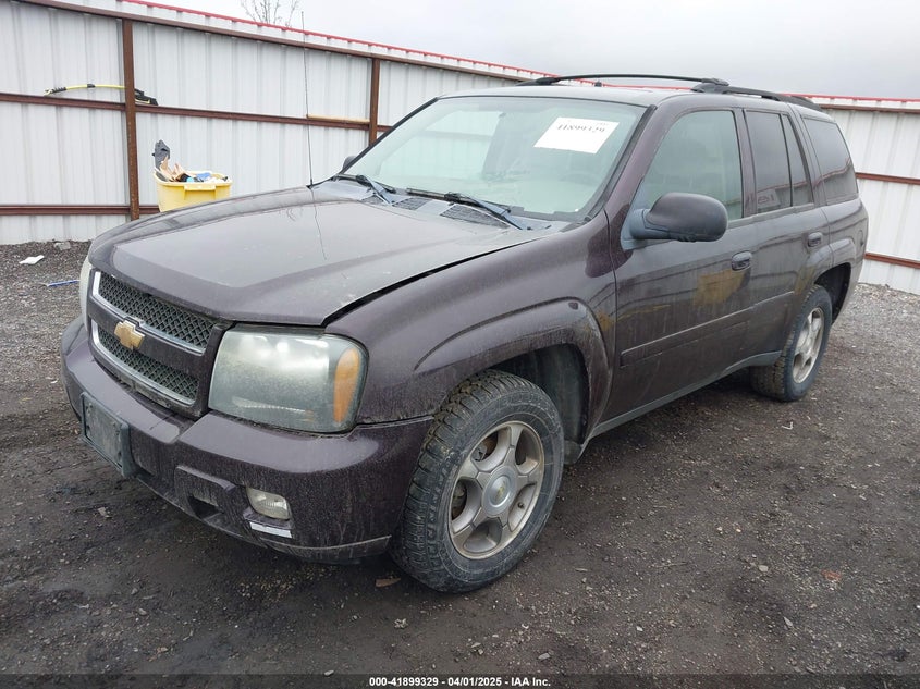 2009 CHEVROLET TRAILBLAZER VIN: 1GNDT33S892125280