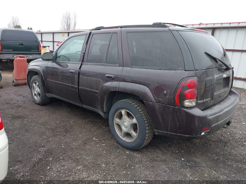 2009 CHEVROLET TRAILBLAZER VIN: 1GNDT33S892125280