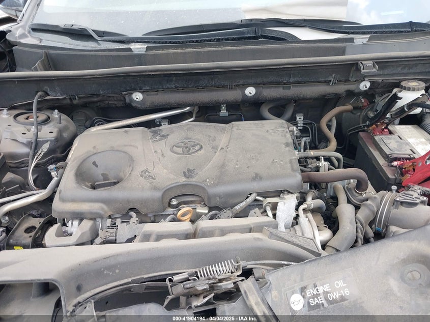 VIN 2T3W1RFV4KW009927 2019 TOYOTA RAV4 XLE