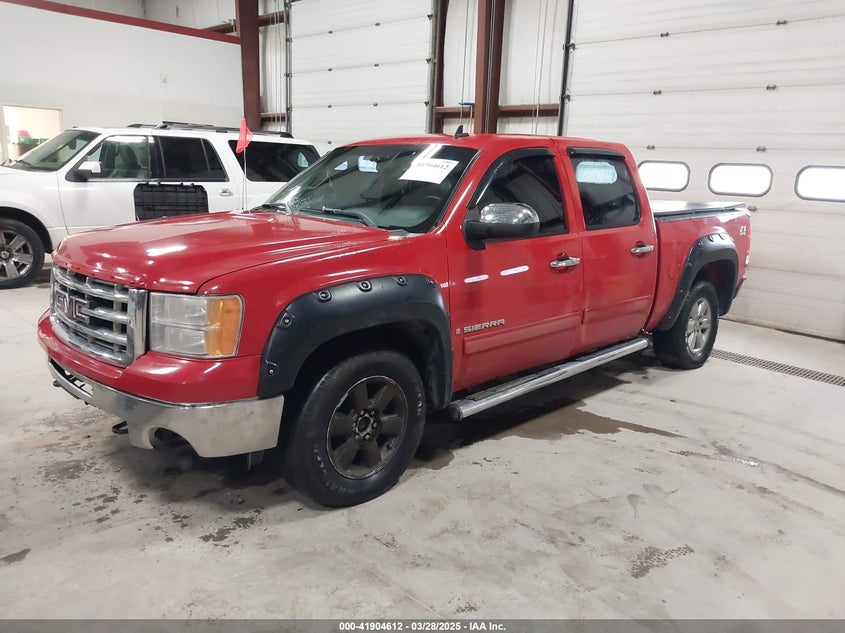 2009 GMC SIERRA 1500 VIN: 3GTEK133X9G144174