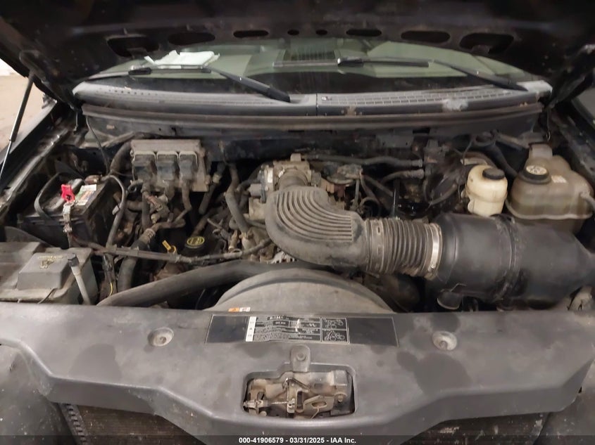 2006 FORD F-150 VIN: 1FTRF12WX6NB62503