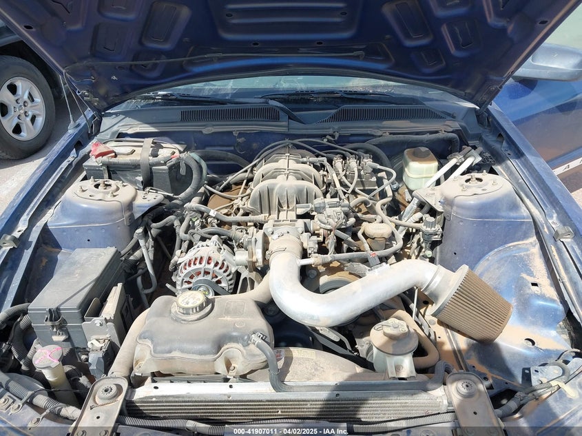 2006 Ford Mustang V6 VIN: 1ZVFT80N865103798 Lot: 41907011