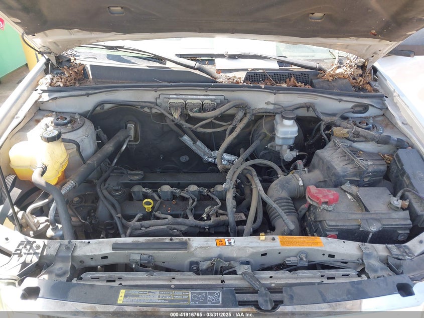 2010 FORD ESCAPE VIN: 1FMCU0D70AKC49781