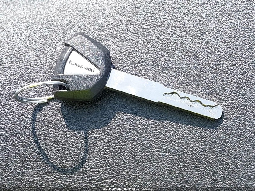 2025 KAWASAKI EX500 - ML5EXGG1XSDA54519